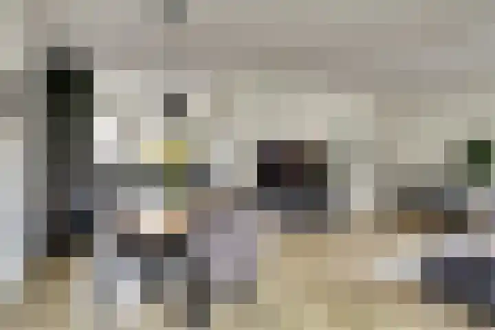 Tuinderspad 3 Schermerhorn thumbnail 7