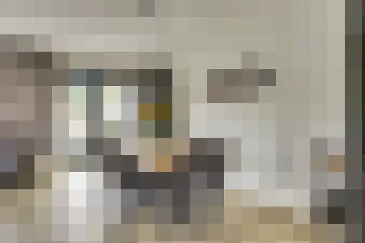 Tuinderspad 3 Schermerhorn thumbnail 8