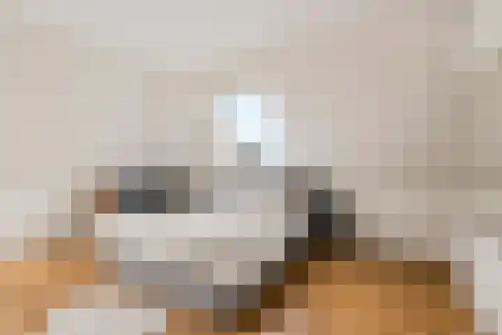 Tuinderswerf 59 Almere thumbnail 26