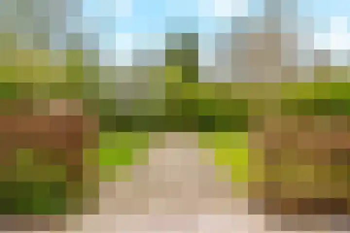 Tuinderswerf 59 Almere thumbnail 31