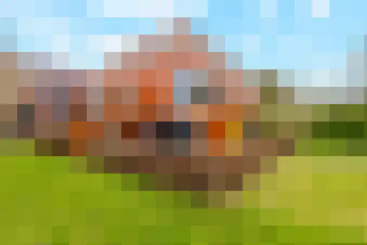 Tuinderswerf 59 Almere thumbnail 32