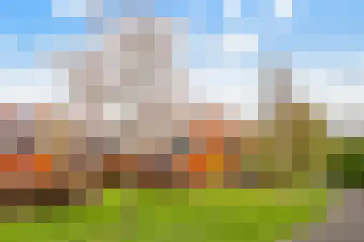 Tuinderswerf 59 Almere thumbnail 33