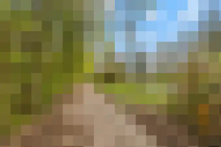 Tuinderswerf 59 Almere thumbnail 34