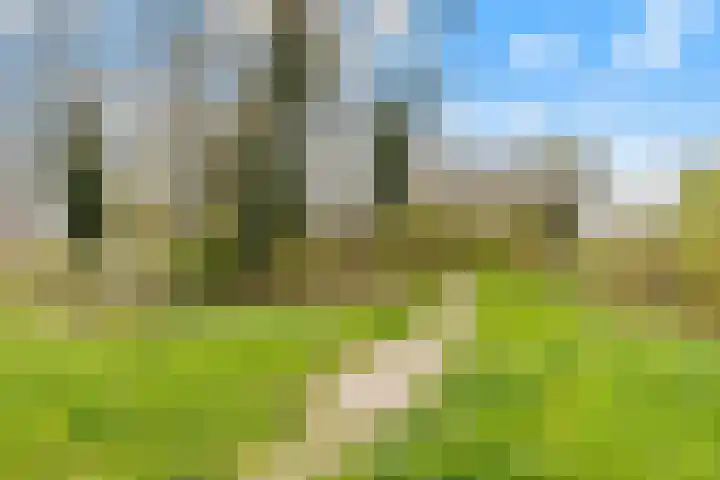 Tuinderswerf 59 Almere thumbnail 35