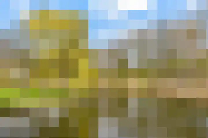 Tuinderswerf 59 Almere thumbnail 36