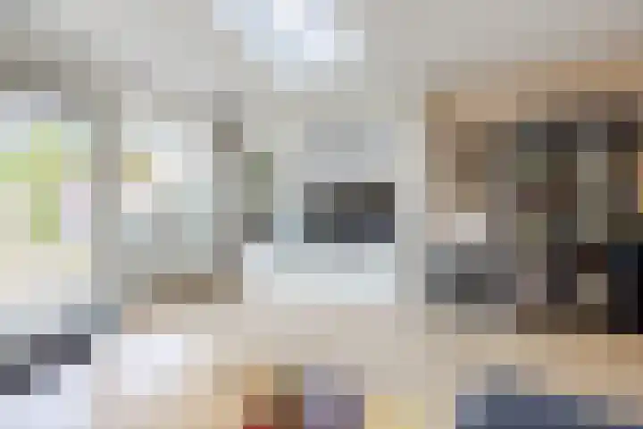 Tuindreef 91 Zoetermeer thumbnail 13