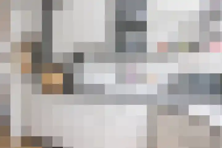 Tuindreef 91 Zoetermeer thumbnail 18