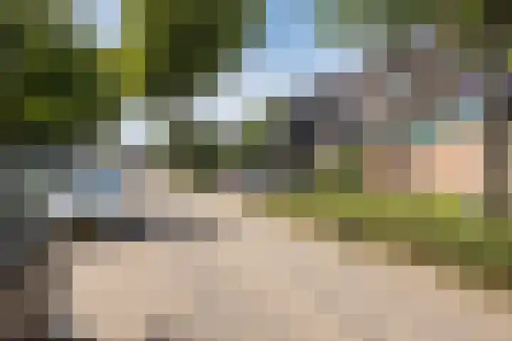 Tuindreef 91 Zoetermeer thumbnail 36