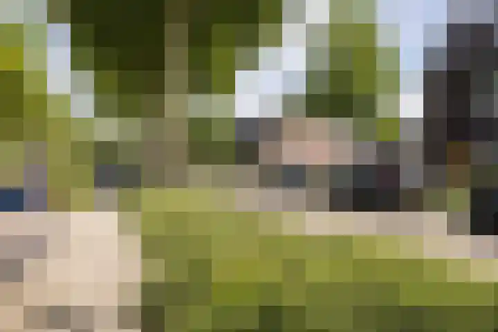 Tuindreef 91 Zoetermeer thumbnail 38