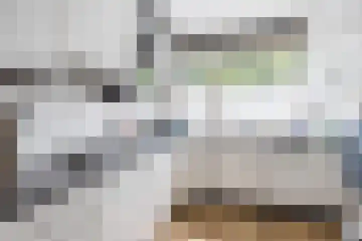 Tuindreef 91 Zoetermeer thumbnail 4