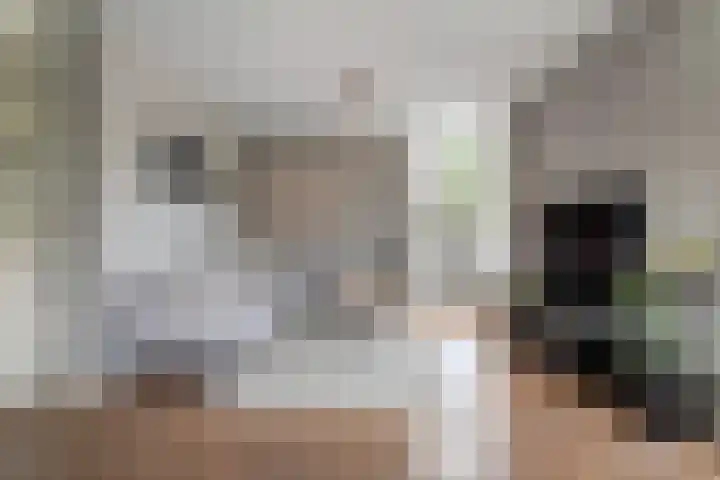 Tuindreef 91 Zoetermeer thumbnail 5