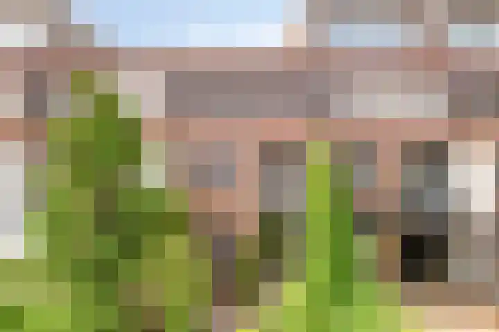 Tuinensingel 27 IJsselstein thumbnail 19