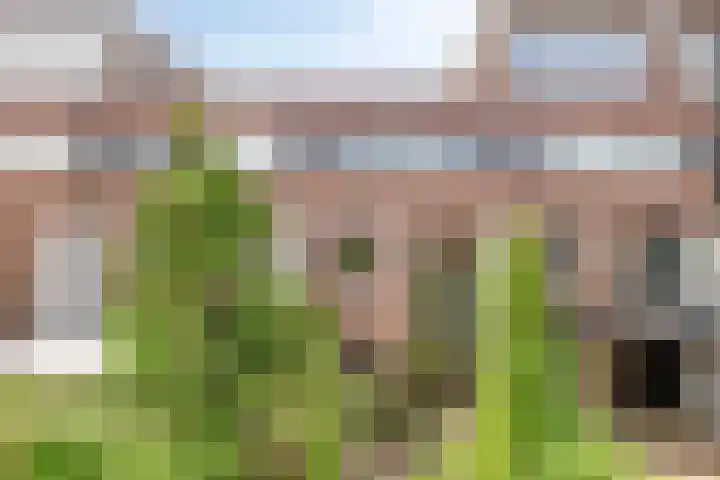 Tuinensingel 27 IJsselstein thumbnail 4