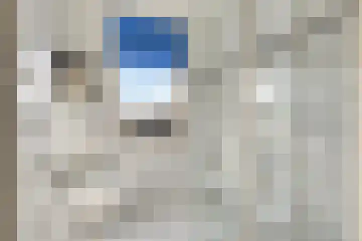 Tuinfluiter 26 Sommelsdijk thumbnail 17