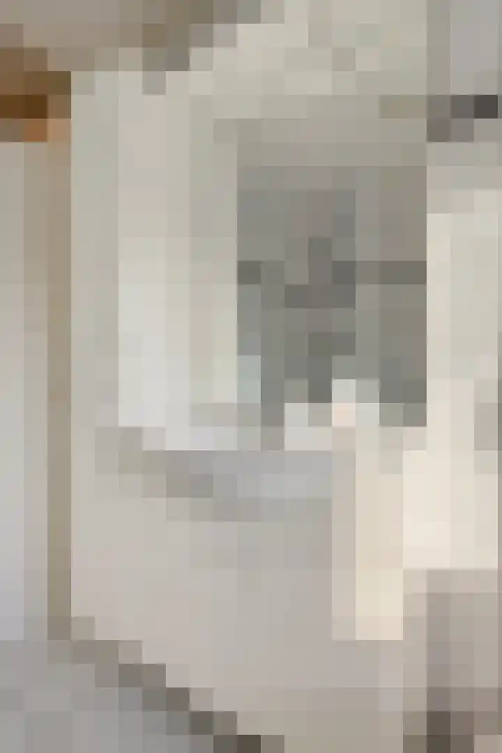 Tuinfluiter 26 Sommelsdijk thumbnail 18