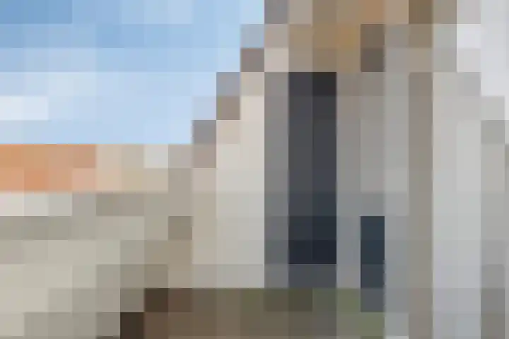 Tuinfluiter 26 Sommelsdijk thumbnail 28