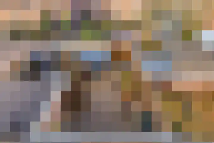 Tuinfluiter 26 Sommelsdijk thumbnail 31