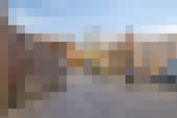 Tuinfluiter 26 Sommelsdijk thumbnail 32