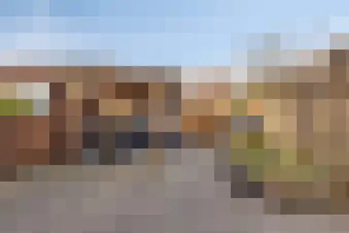 Tuinfluiter 26 Sommelsdijk thumbnail 33