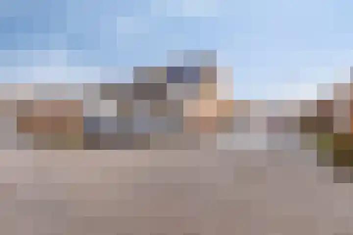 Tuinfluiter 26 Sommelsdijk thumbnail 36