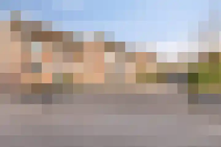 Tuinfluiter 26 Sommelsdijk thumbnail 37