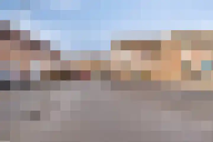 Tuinfluiter 26 Sommelsdijk thumbnail 38