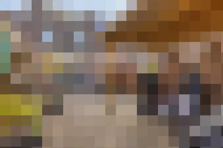 Tuinfluiter 26 Sommelsdijk thumbnail 4