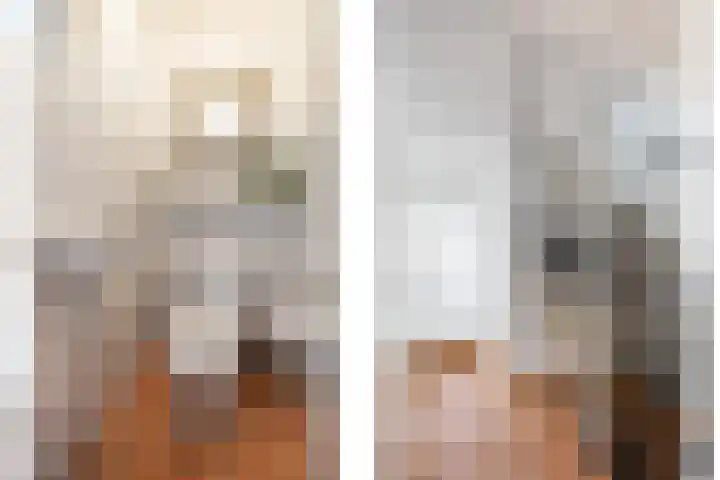 Tuinfluiter 27 Raalte thumbnail 13