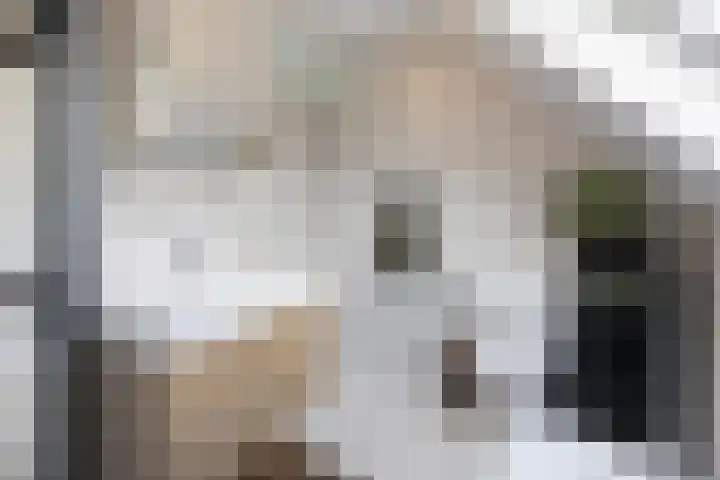 Tuinfluiter 27 Raalte thumbnail 21