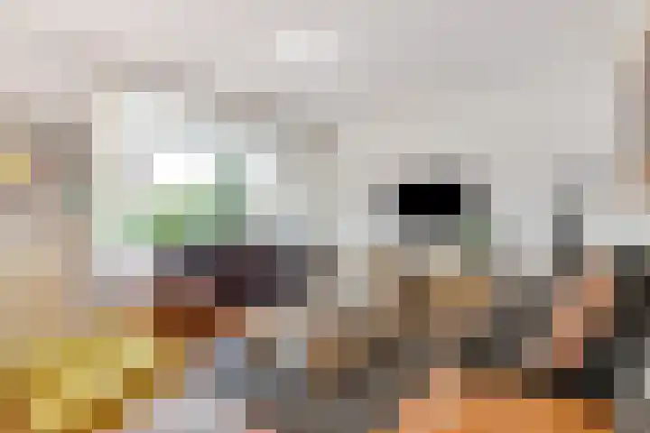 Tuinfluiter 27 Raalte thumbnail 5