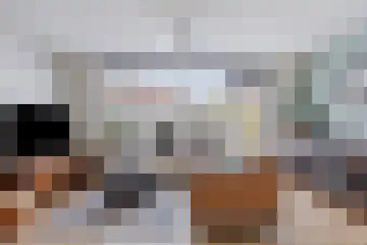 Tuinfluiter 8 Sommelsdijk thumbnail 10