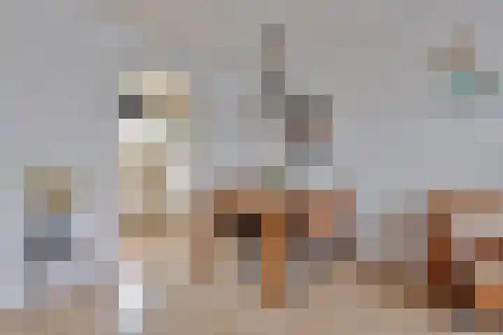 Tuinfluiter 8 Sommelsdijk thumbnail 15