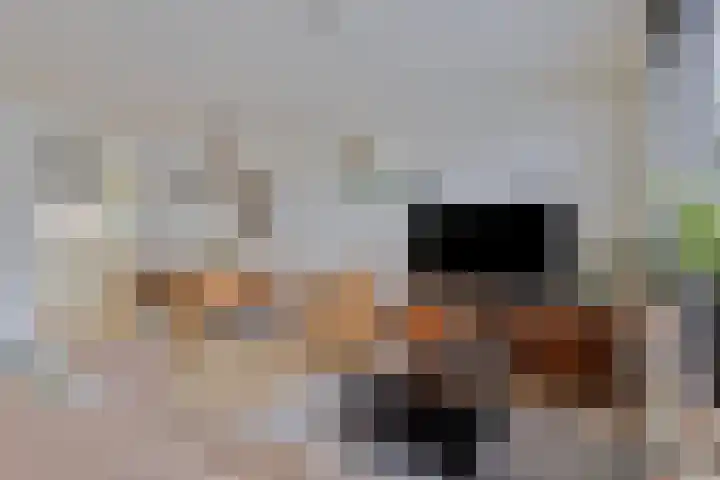 Tuinfluiter 8 Sommelsdijk thumbnail 16
