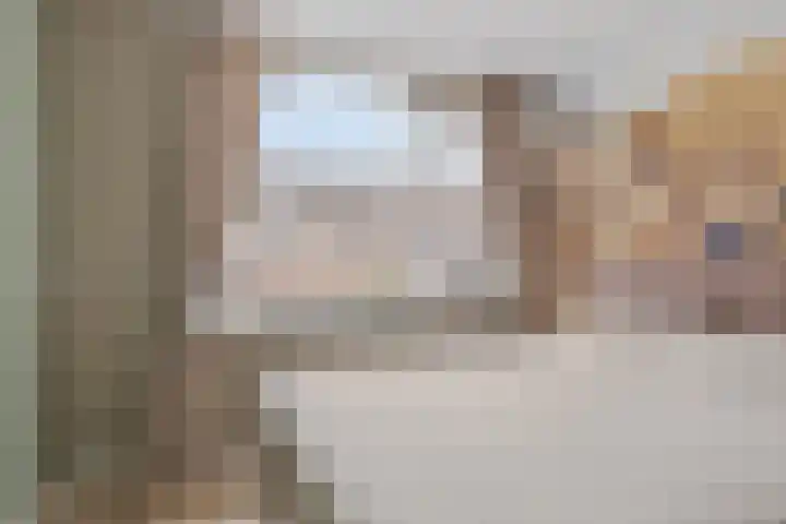 Tuinfluiter 8 Sommelsdijk thumbnail 23