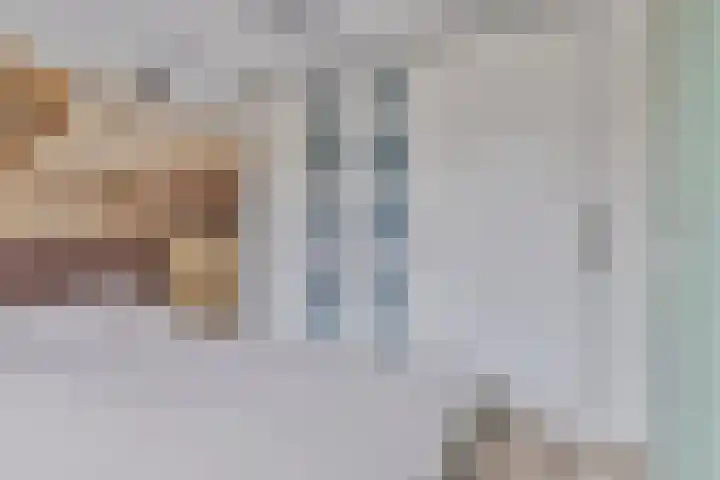Tuinfluiter 8 Sommelsdijk thumbnail 24