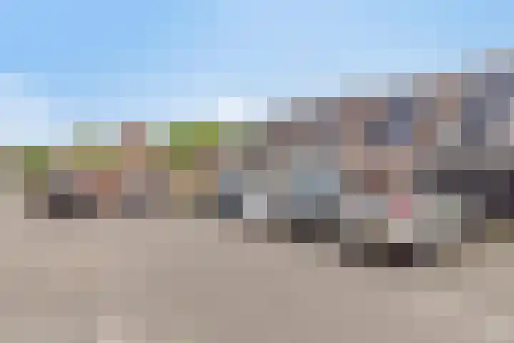 Tuinfluiter 8 Sommelsdijk thumbnail 33