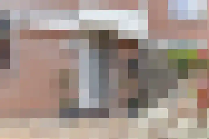 Tuinfluiter 8 Sommelsdijk thumbnail 6