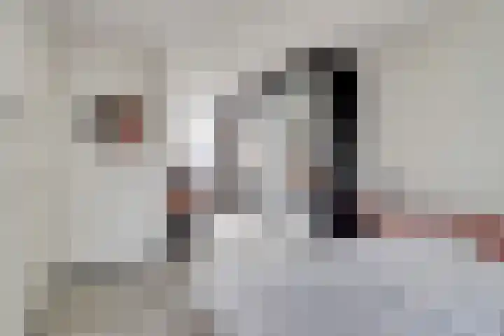 Tuinfluiterstraat 113 Ermelo thumbnail 21