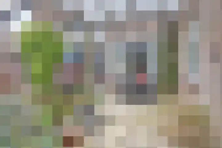 Tuinfluiterstraat 113 Ermelo thumbnail 33