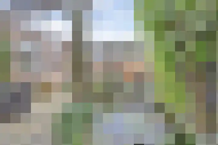 Tuinfluiterstraat 113 Ermelo thumbnail 34