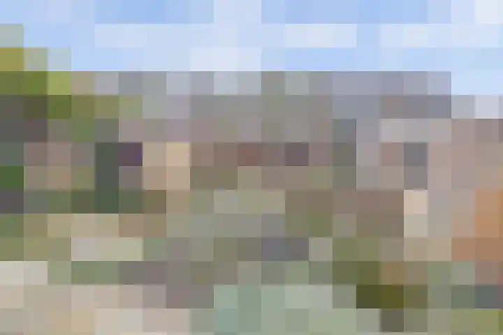 Tuinfluiterstraat 113 Ermelo thumbnail 35