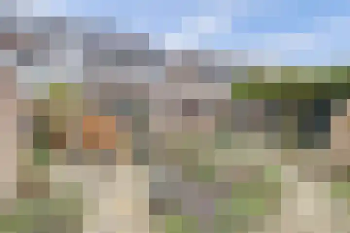 Tuinfluiterstraat 113 Ermelo thumbnail 37