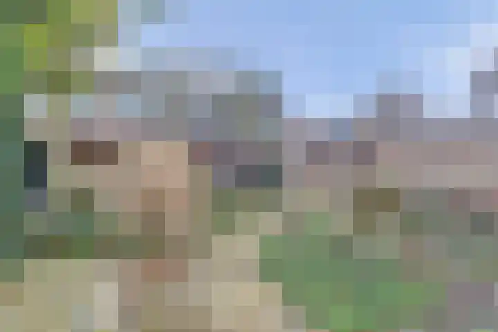 Tuinfluiterstraat 113 Ermelo thumbnail 4