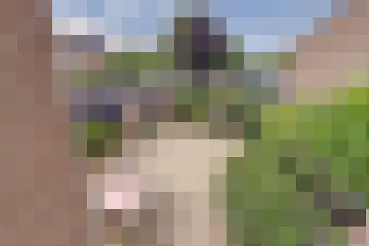 Tuinfluiterstraat 93 Ermelo thumbnail 24