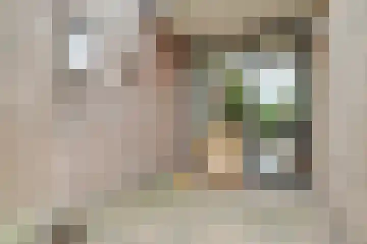 Tuinfluiterstraat 93 Ermelo thumbnail 31
