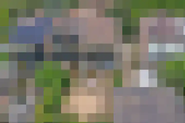 Tuinfluiterstraat 93 Ermelo thumbnail 33