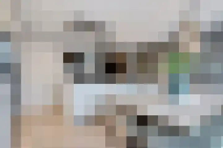 Tuinlaan 129 Borne thumbnail 14