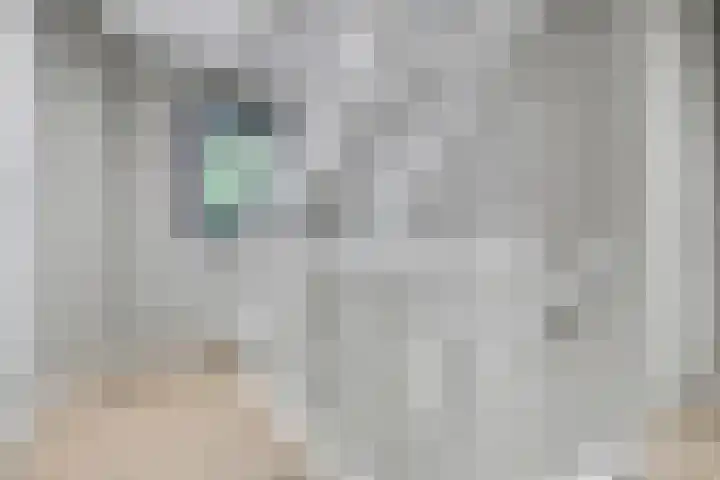 Tuinlaan 129 Borne thumbnail 23