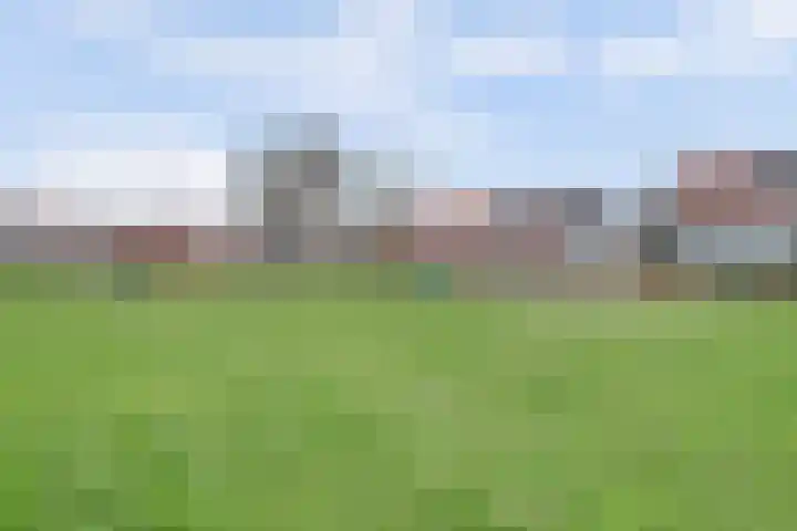Tuinlaan 129 Borne thumbnail 46