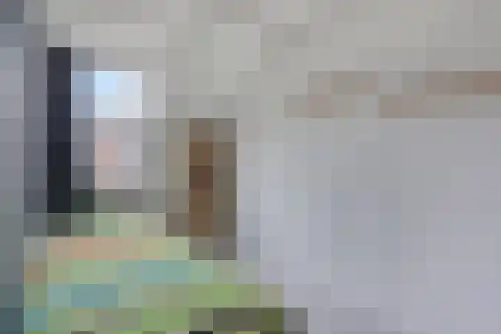 Tuinlaan 33 Bemmel thumbnail 22